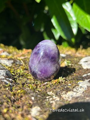 Oeuf de Yoni grand percé en Améthyste