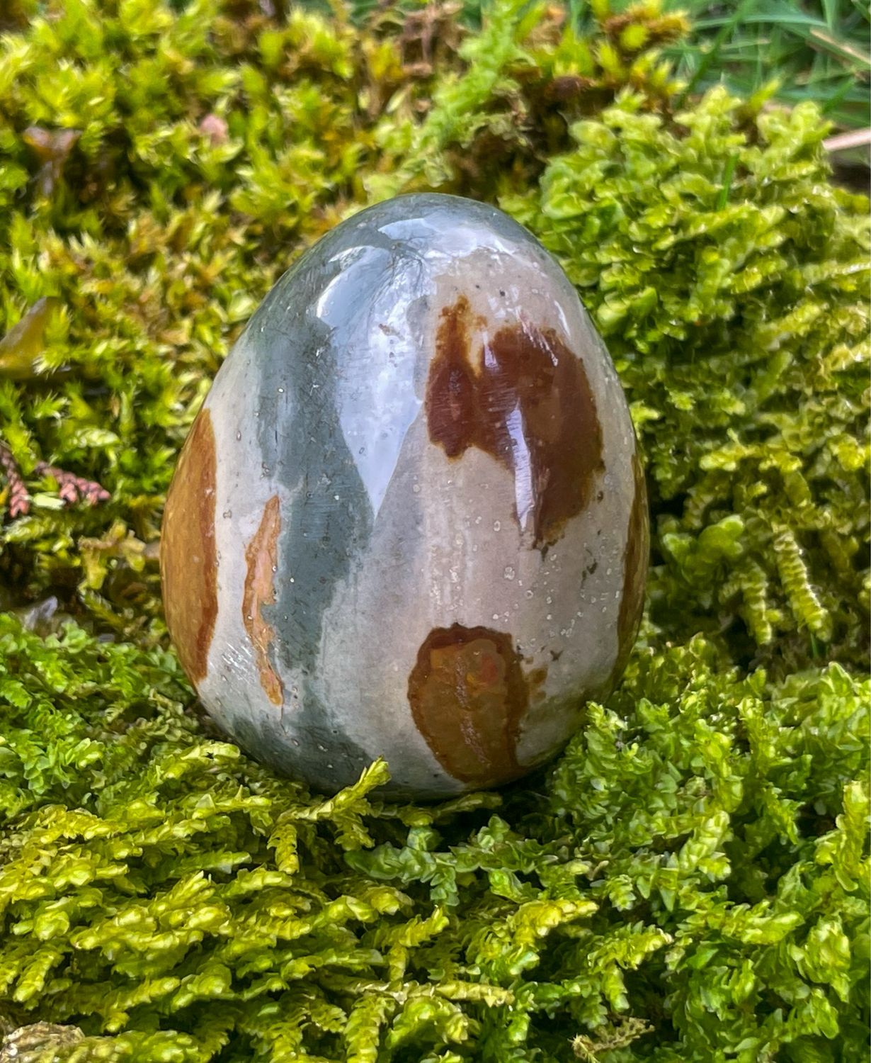 Oeuf en Jaspe polychrome
