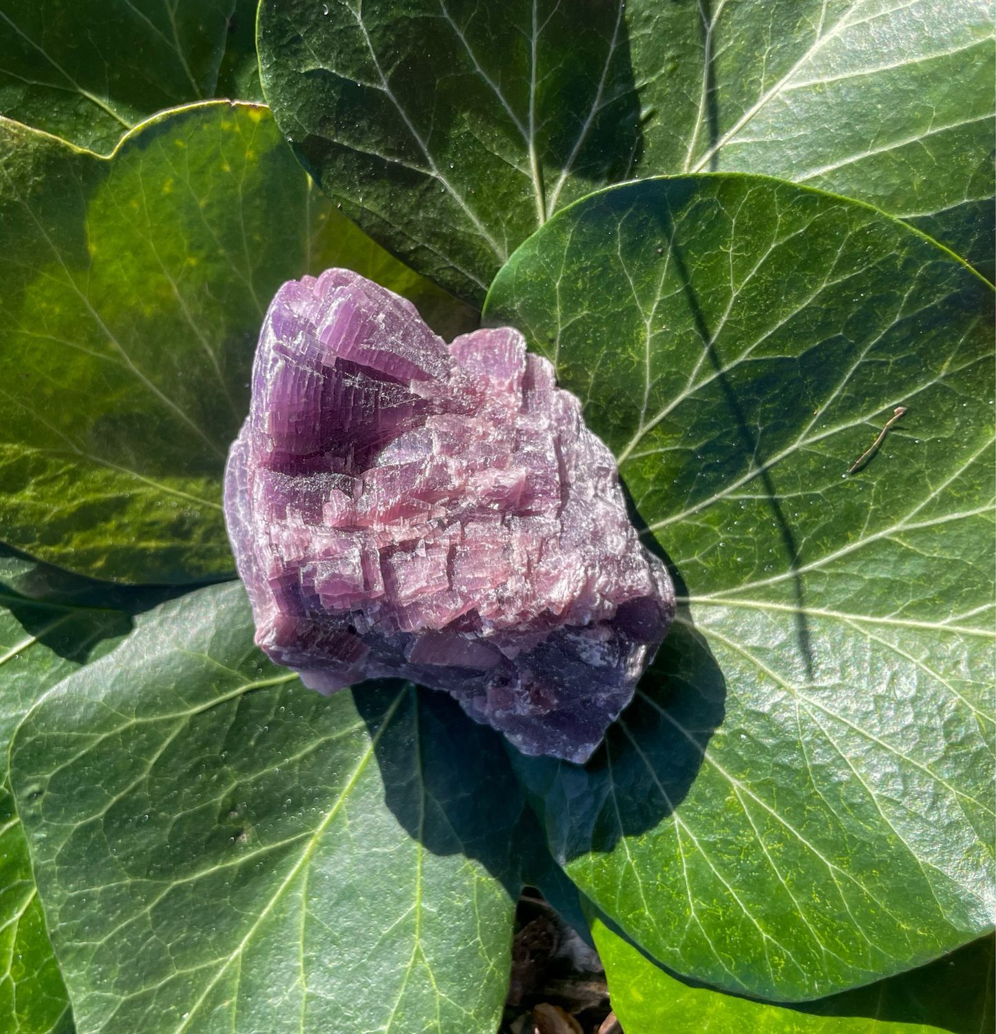 Lépidolite Mica brute