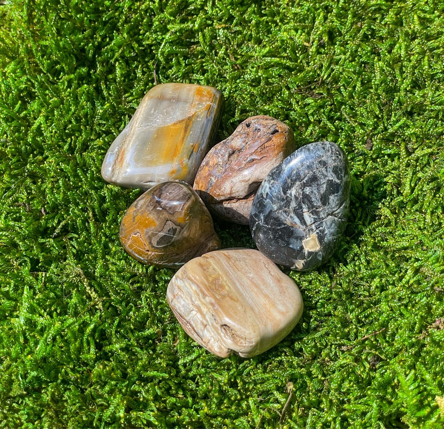 Bois fossilisé roulé