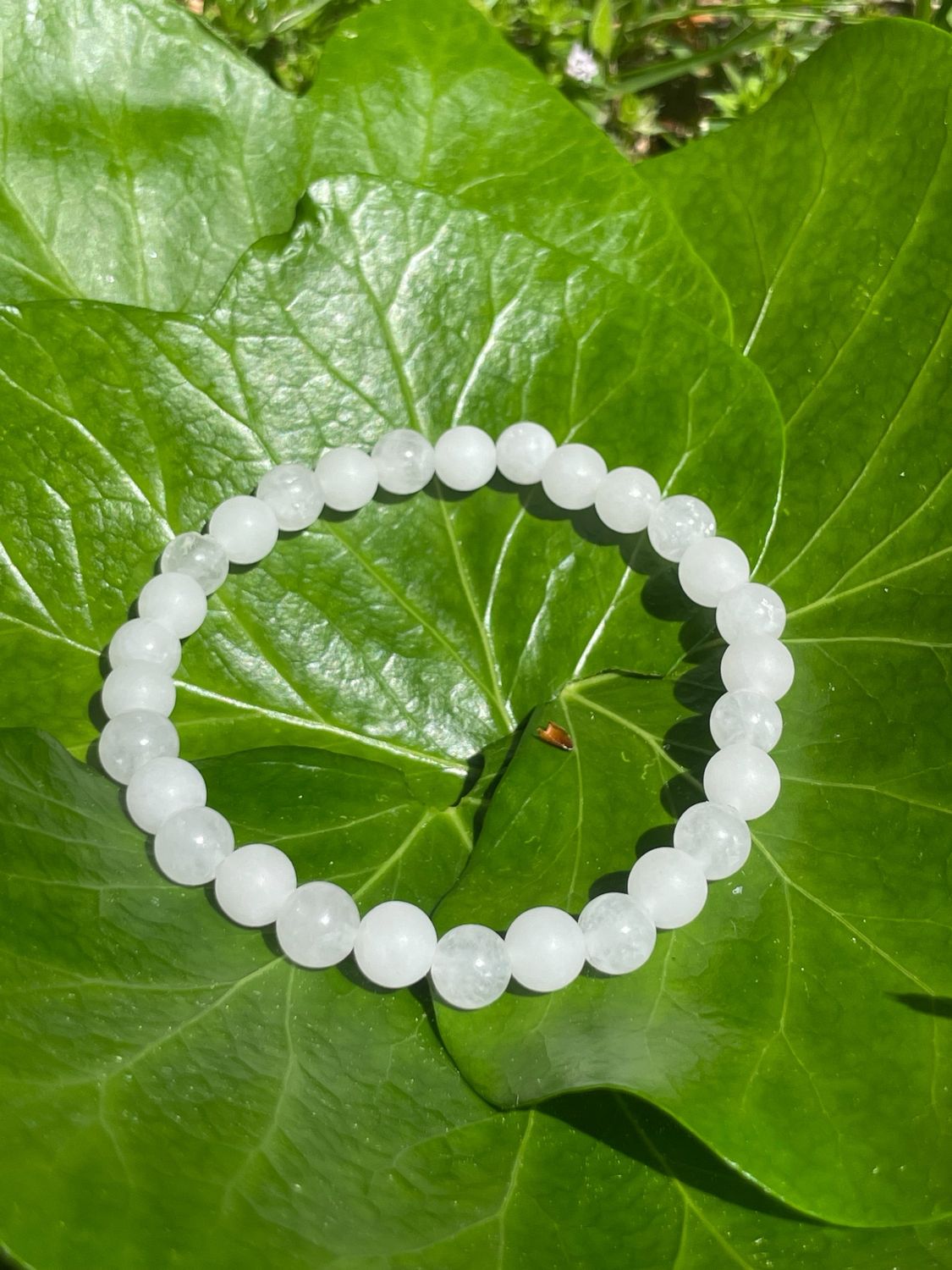 Bracelet en Jade blanc mat et brillant 6mm
