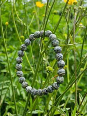 Bracelet en Chrysotile / Serpentine oeil d'argent 6 mm Bracelet en Chrysotile / Serpentine oeil d'argent 6 mm