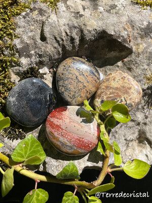 Jaspe feuille d’argent