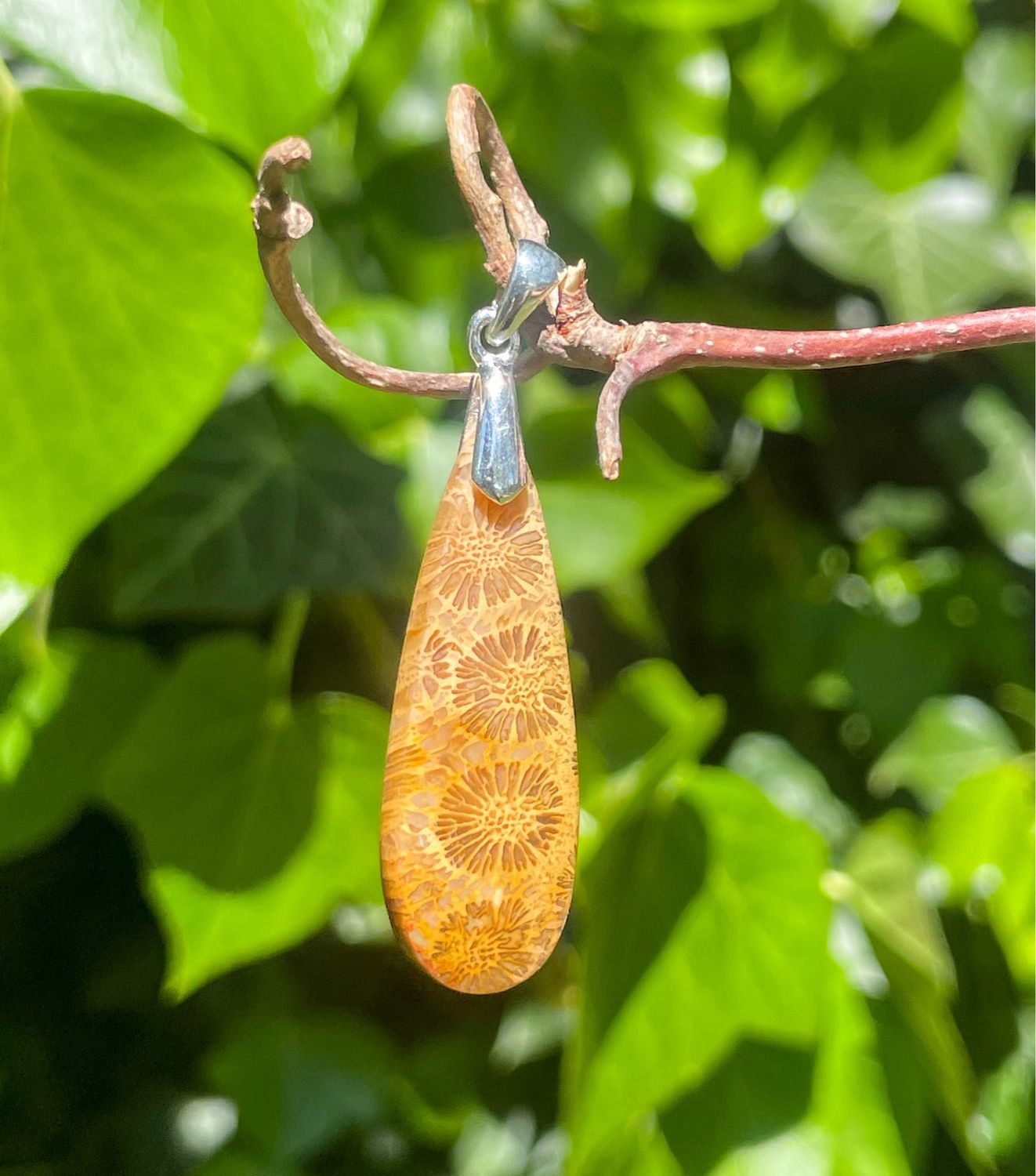 Pendentif en Corail fossilisé à choix