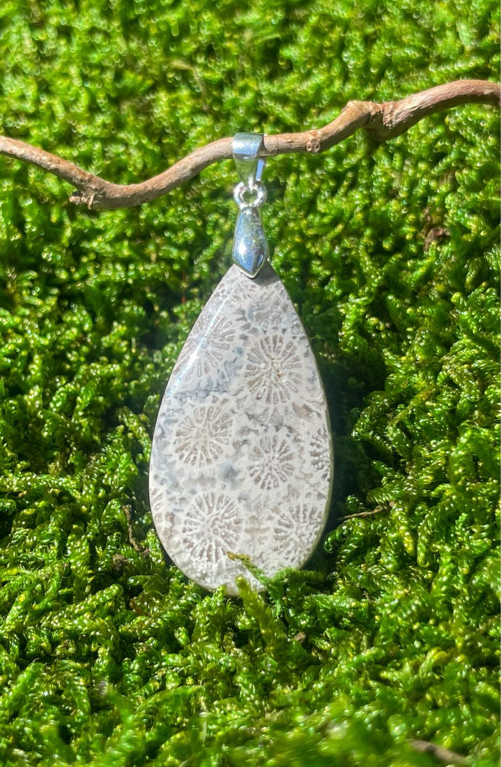 Pendentif en Corail fossilisé à choix