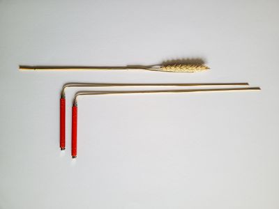 Baguettes de sourcier "Racines"