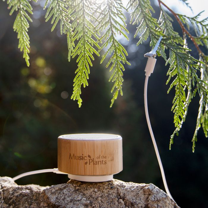 Ginkgo, lecteur Musique des plantes