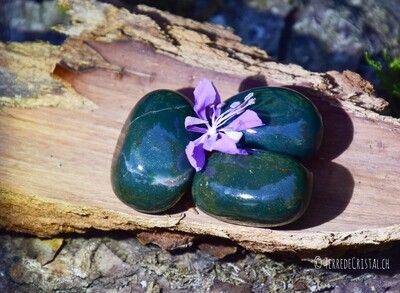 Jaspe sanguin/ héliotrope