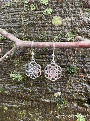 Boucles d’oreilles "Graine de vie"