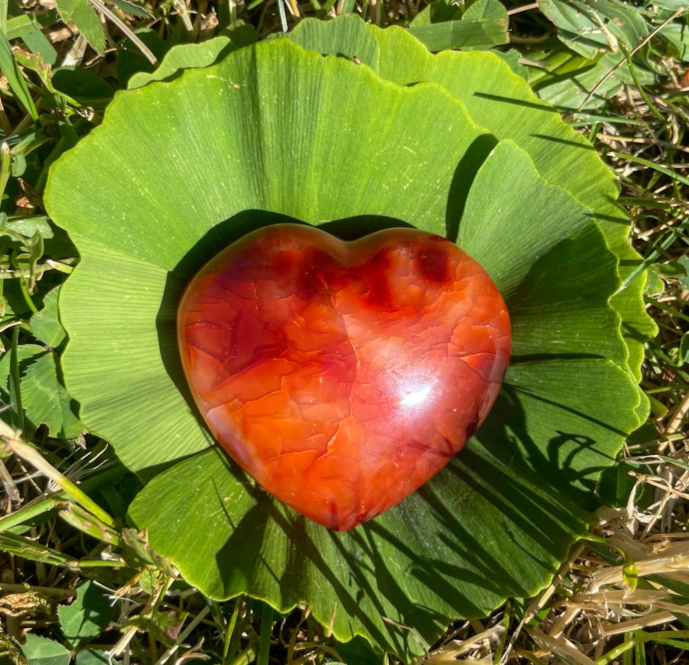 Coeur en Cornaline