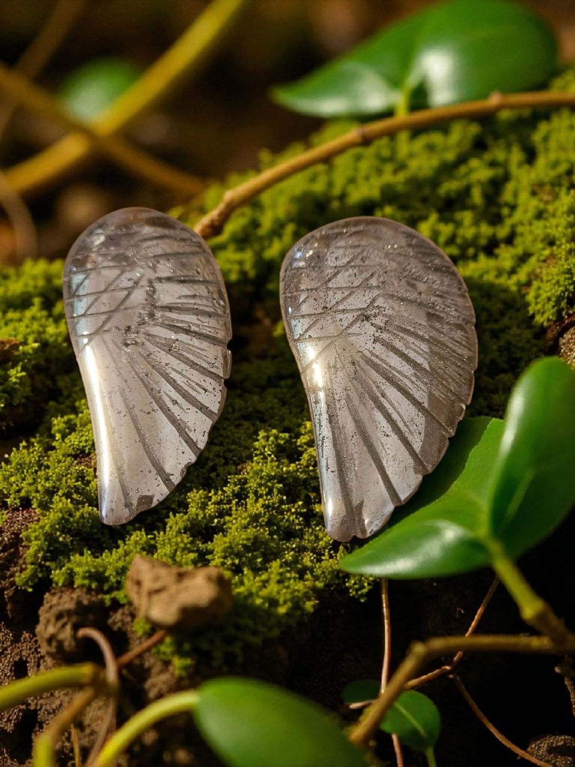 Aile d'ange en Pyrite