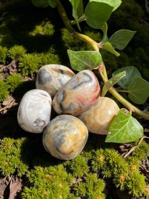 Agate crazy lace roulée