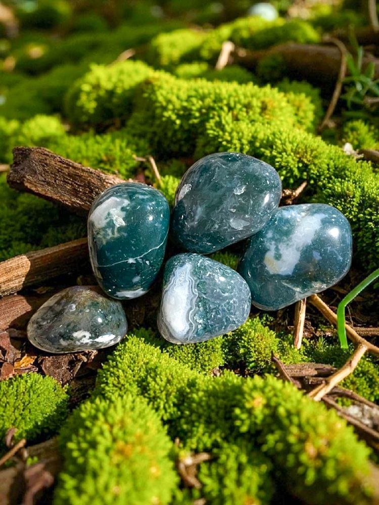 Agate mousse verte roulée