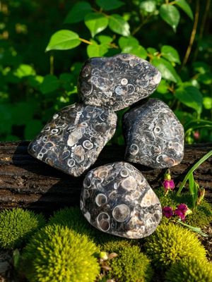 Agate Turitelle roulée