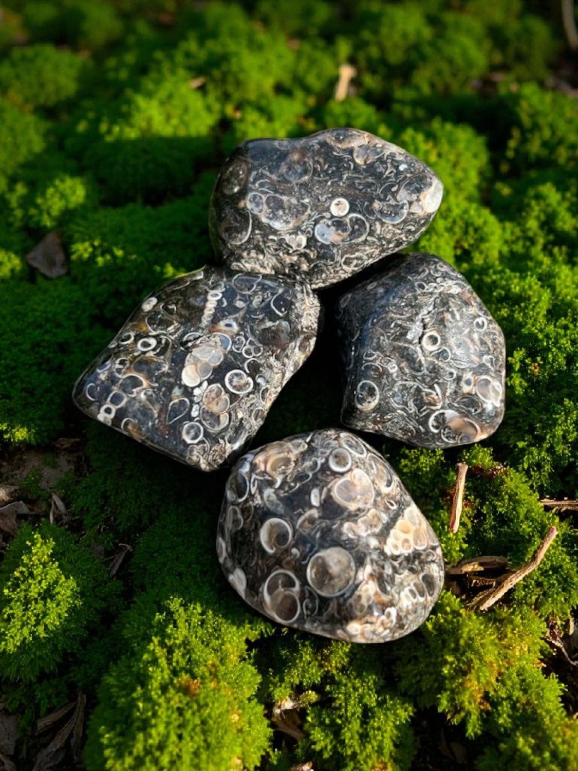 Agate Turitelle roulée