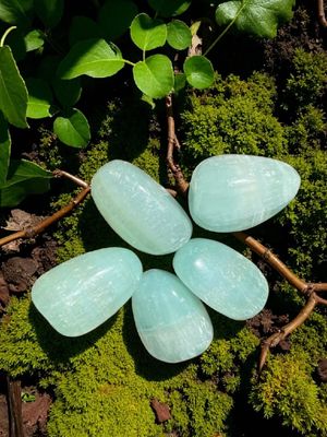 Calcite pistache roulée