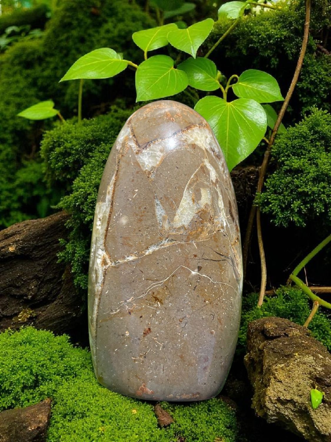 Menhir en Septaria