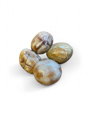 Agate Corail roulée