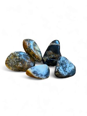Agate dendritique roulée