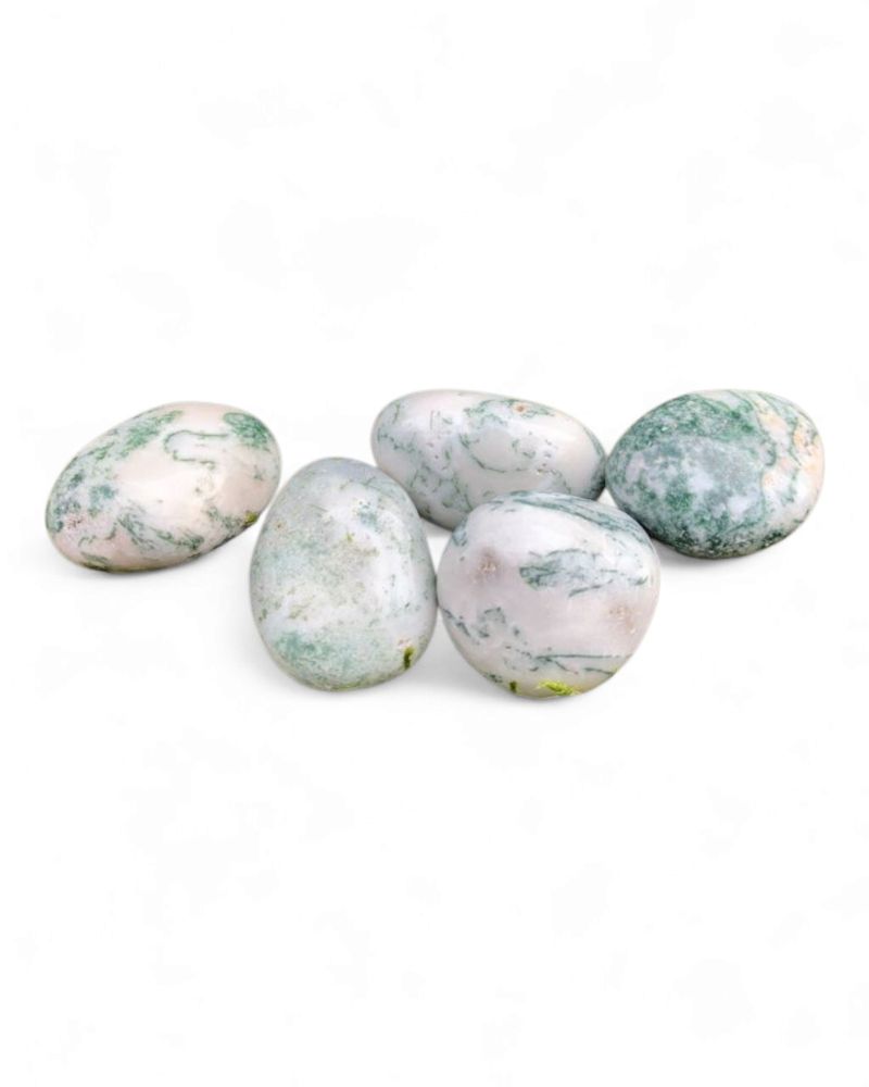 Agate Arbre roulée
