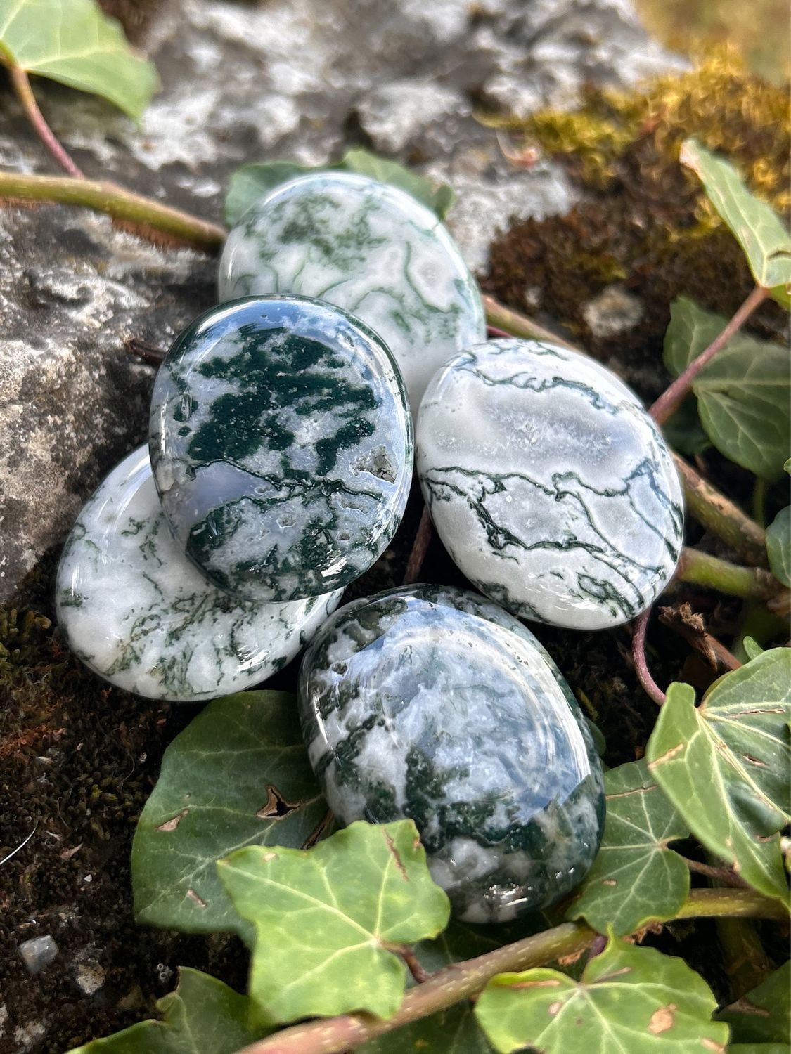 Agate Arbre plate