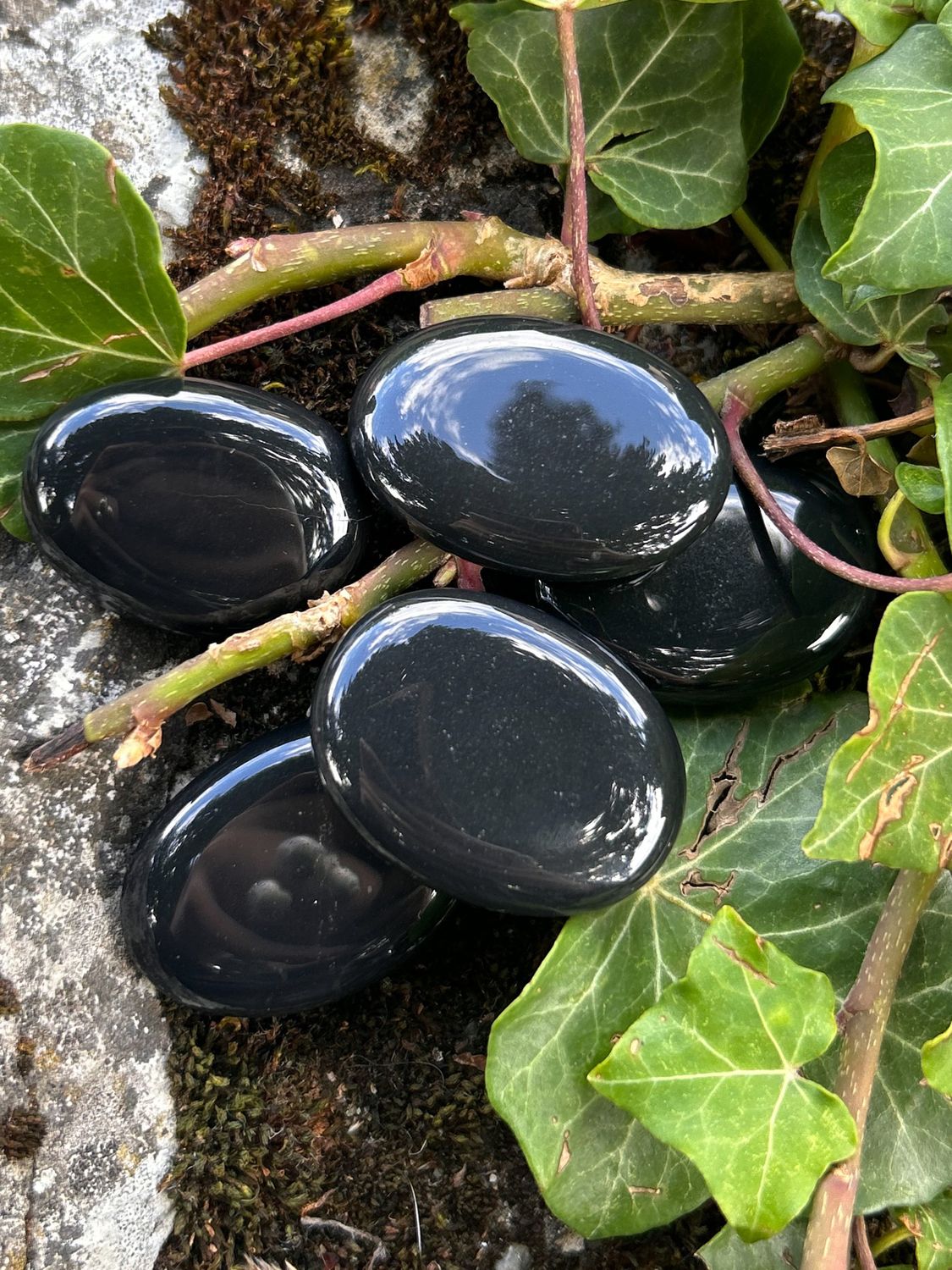Onyx noir plat
