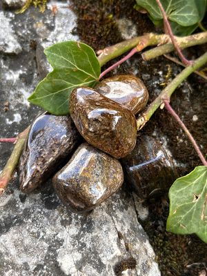 Bronzite roulée