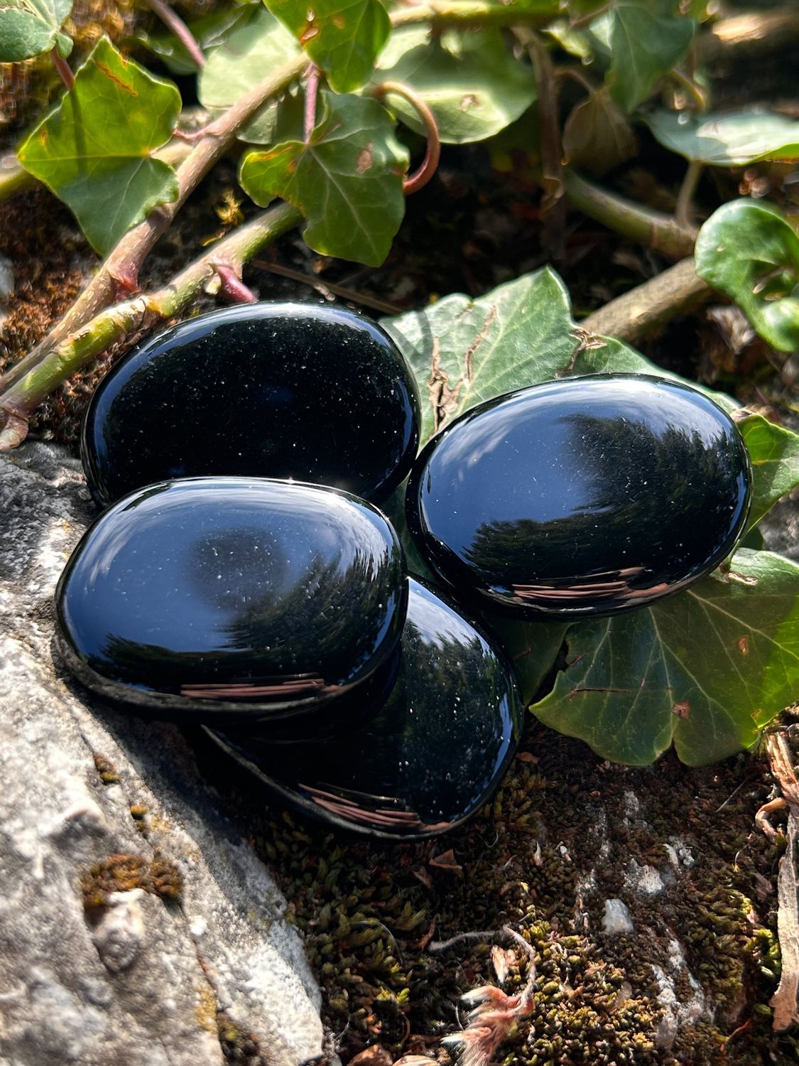 Obsidienne noire plate