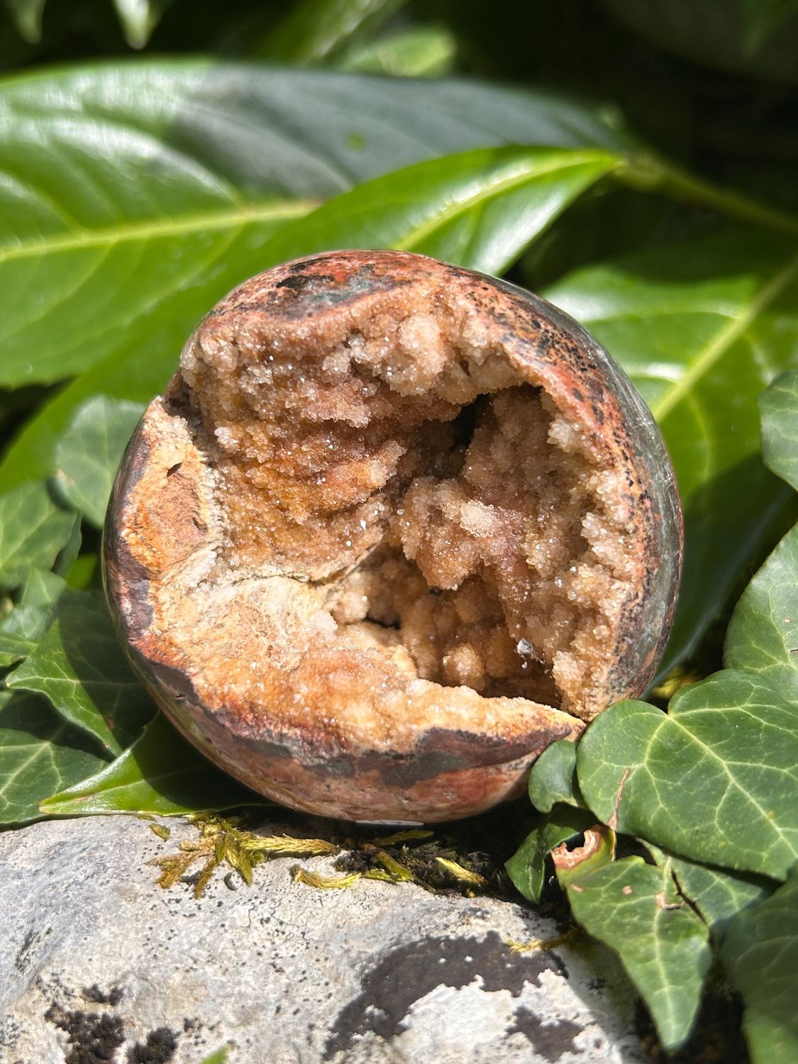 Boule en Bois fossilisé druze