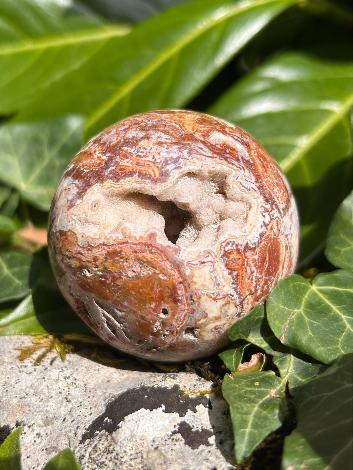 Boule en Bois fossilisé druze