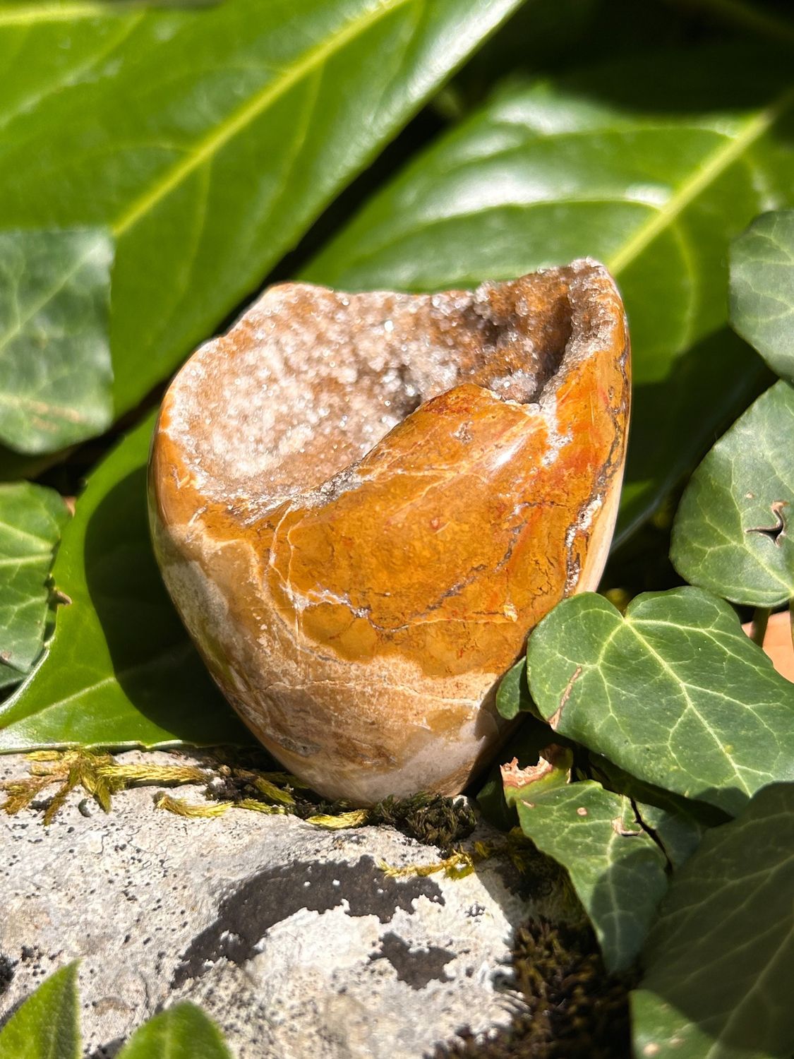Menhir en Bois fossilisé druze