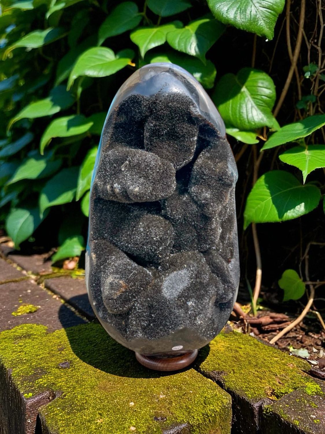 Oeuf en Septaria sauvage