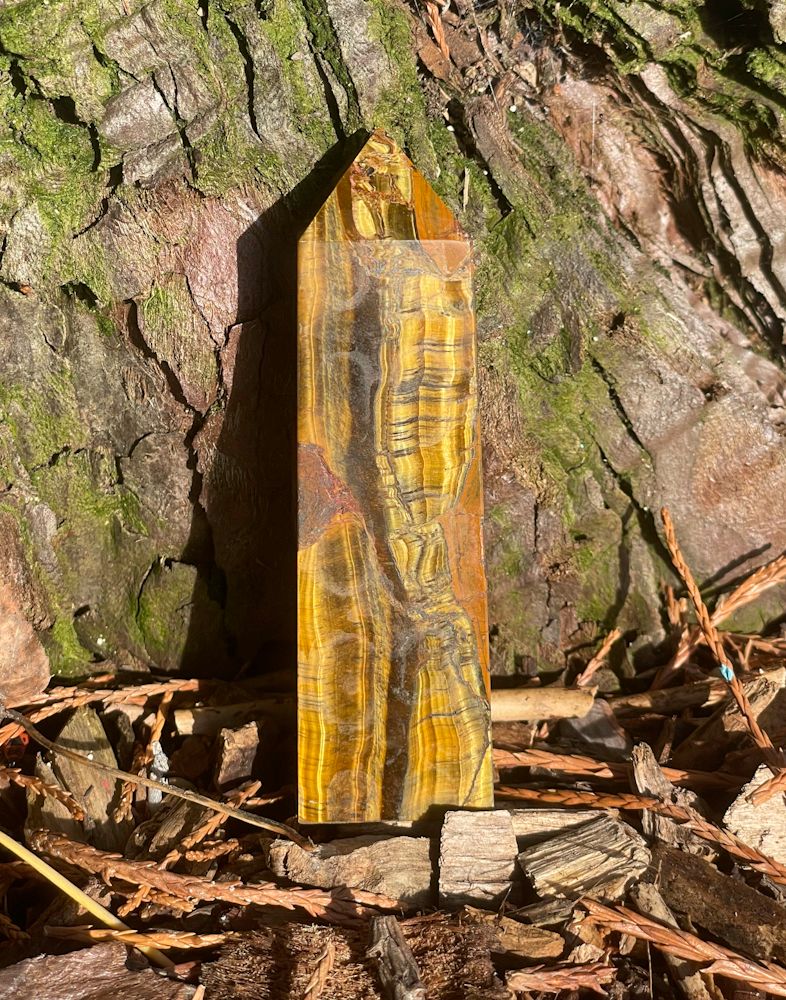 Pointe en Oeil de tigre