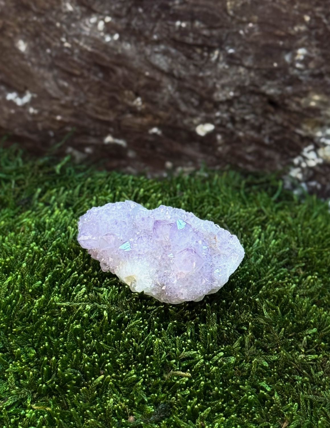 Druze d'Améthyste | mini