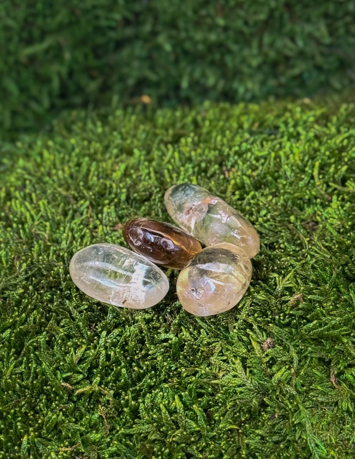 Citrine roulée