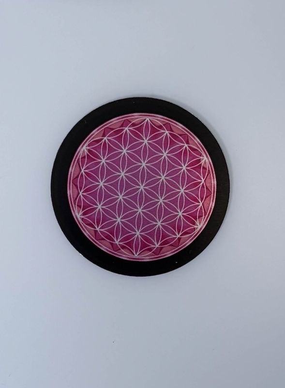 Plaques Tesla autocollantes