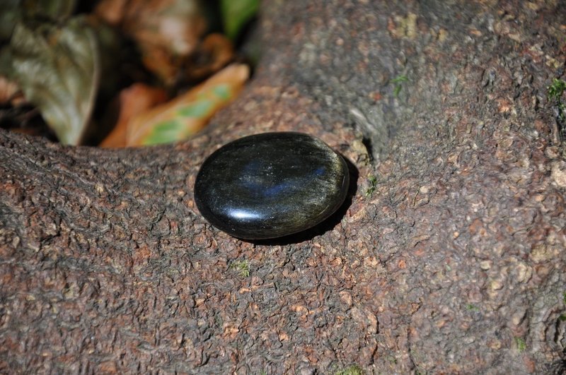 Obsidienne dorée plate