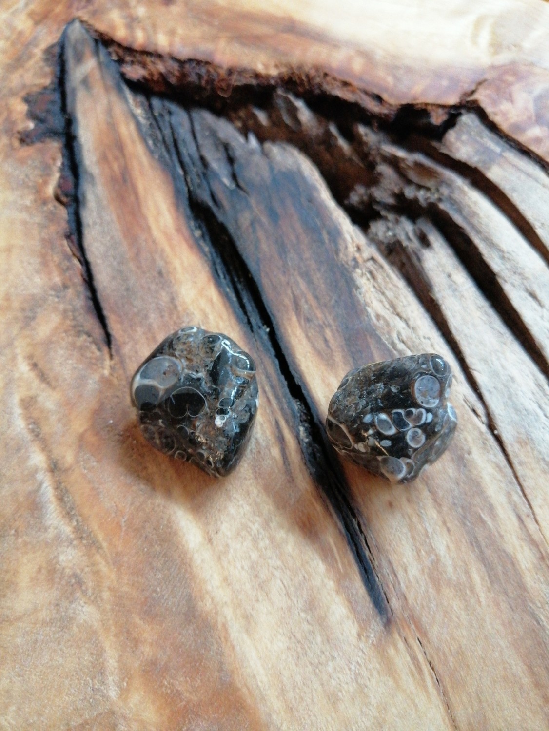 Agate turitelle roulée moyenne Agate turitelle roulée moyenne