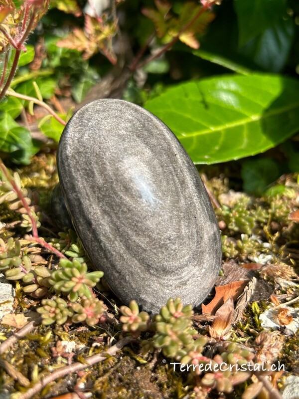 Obsidienne