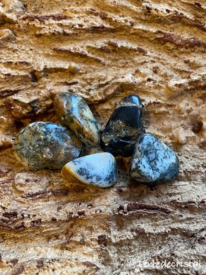 Agate Dendritique