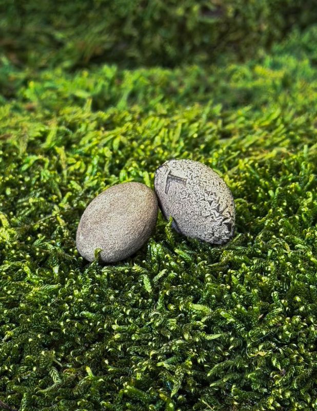 Moqui Marbles | Boji