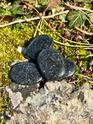 Bronzite Gabbro plate