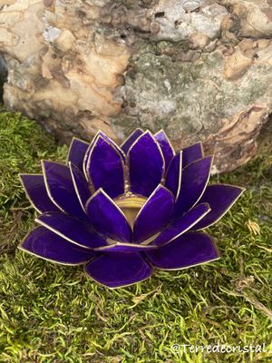 Bougeoir lotus violet