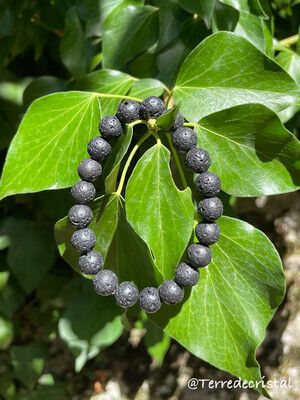 Bracelet en Lave 4, 6, 8 ou 10 mm