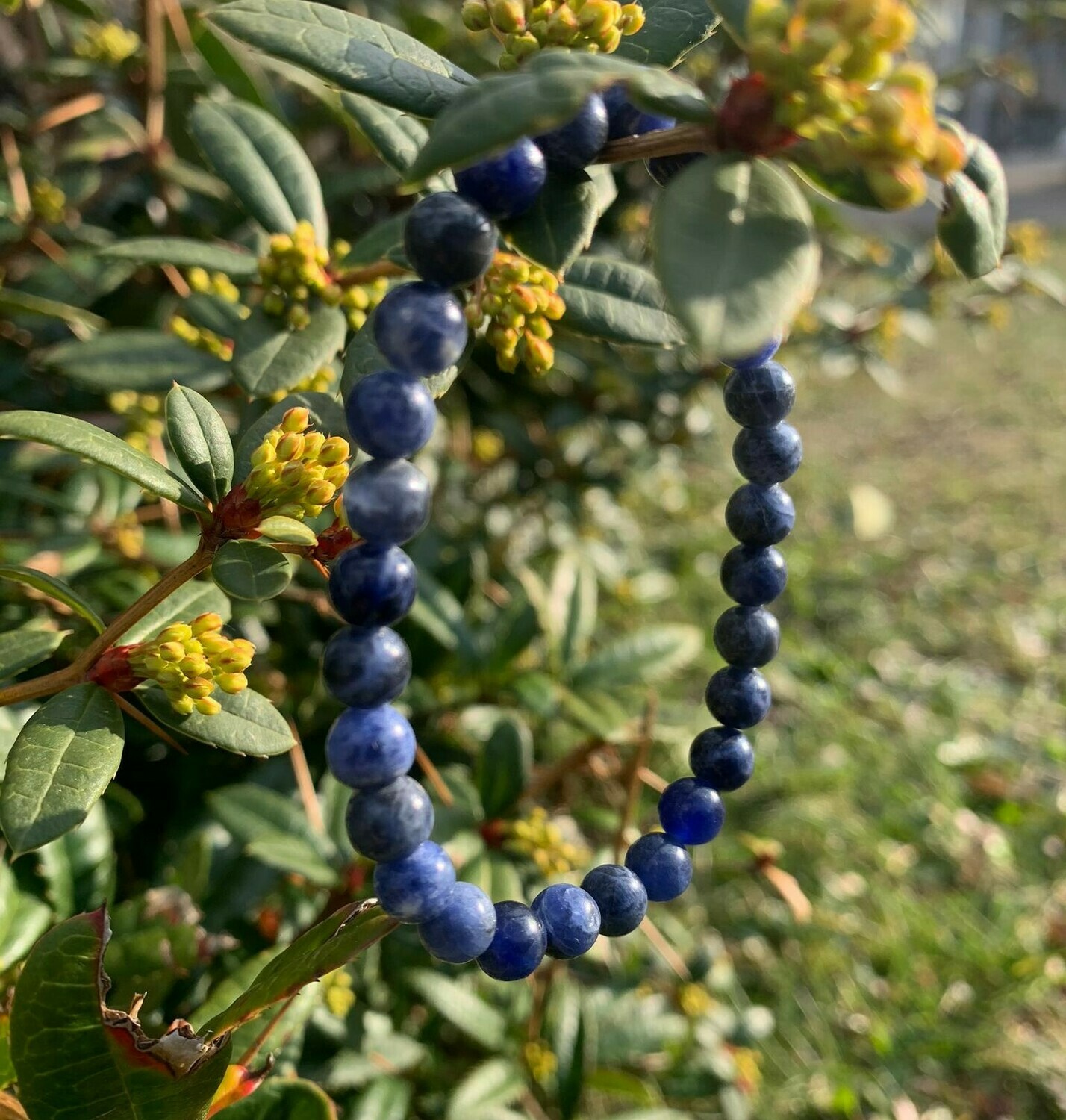 Bracelet en Sodalite 6 mm Bracelet en Sodalite 6 mm