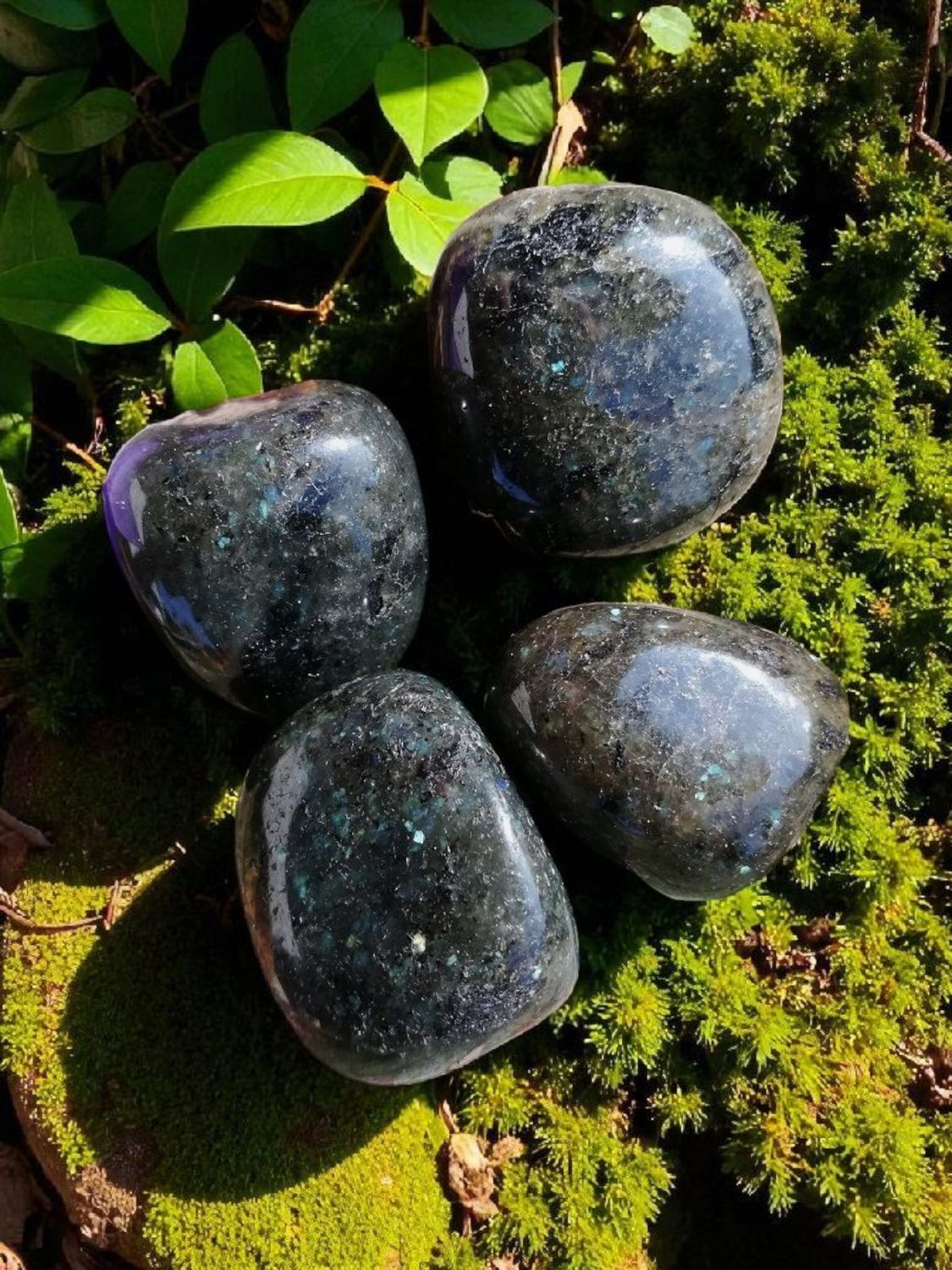 Galaxite (micro Labradorite) roulée Galaxite (micro Labradorite) roulée