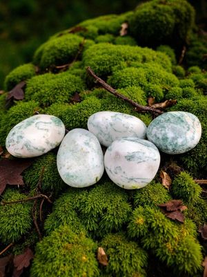 Agate Arbre roulée