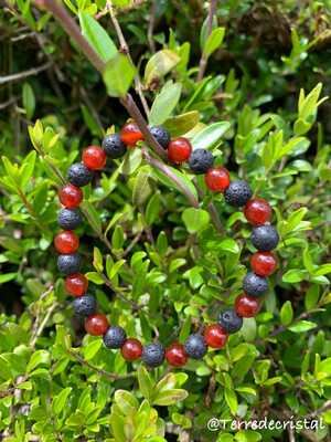 Bracelet  "Apaisement du feu"