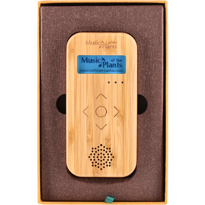 Bamboo M, lecteur Musique des plantes