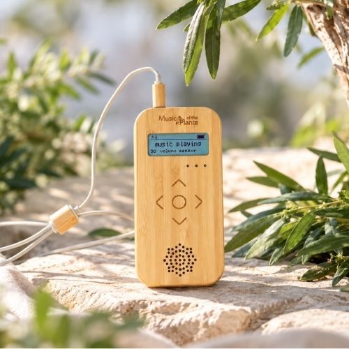 Bamboo M, lecteur Musique des plantes Bamboo M, lecteur Musique des plantes